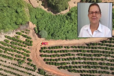 Farmacêutica encontrada em cafezal de MG não teve morte violenta, aponta investigação policial