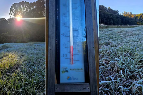Frio intenso provoca geada no Sul de Minas; estações locais registram mínimas abaixo de 1°C